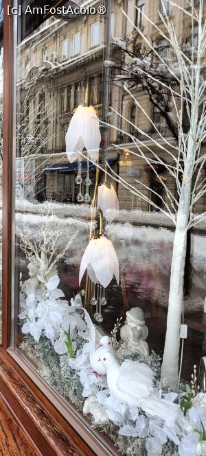 [P17] Ghioceii de la Casa Capșa. » foto by tata123 🔱
 - 
<span class="allrVoted glyphicon glyphicon-heart hidden" id="av1518498"></span>
<a class="m-l-10 hidden" id="sv1518498" onclick="voting_Foto_DelVot(,1518498,3511)" role="button">șterge vot <span class="glyphicon glyphicon-remove"></span></a>
<a id="v91518498" class=" c-red"  onclick="voting_Foto_SetVot(1518498)" role="button"><span class="glyphicon glyphicon-heart-empty"></span> <b>LIKE</b> = Votează poza</a> <img class="hidden"  id="f1518498W9" src="/imagini/loader.gif" border="0" /><span class="AjErrMes hidden" id="e1518498ErM"></span>