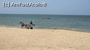 [P05] mijloc de transport » foto by robert
 - 
<span class="allrVoted glyphicon glyphicon-heart hidden" id="av1505538"></span>
<a class="m-l-10 hidden" id="sv1505538" onclick="voting_Foto_DelVot(,1505538,3514)" role="button">șterge vot <span class="glyphicon glyphicon-remove"></span></a>
<a id="v91505538" class=" c-red"  onclick="voting_Foto_SetVot(1505538)" role="button"><span class="glyphicon glyphicon-heart-empty"></span> <b>LIKE</b> = Votează poza</a> <img class="hidden"  id="f1505538W9" src="/imagini/loader.gif" border="0" /><span class="AjErrMes hidden" id="e1505538ErM"></span>