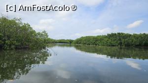 [P31] vedere din deltă » foto by robert
 - 
<span class="allrVoted glyphicon glyphicon-heart hidden" id="av1511298"></span>
<a class="m-l-10 hidden" id="sv1511298" onclick="voting_Foto_DelVot(,1511298,3514)" role="button">șterge vot <span class="glyphicon glyphicon-remove"></span></a>
<a id="v91511298" class=" c-red"  onclick="voting_Foto_SetVot(1511298)" role="button"><span class="glyphicon glyphicon-heart-empty"></span> <b>LIKE</b> = Votează poza</a> <img class="hidden"  id="f1511298W9" src="/imagini/loader.gif" border="0" /><span class="AjErrMes hidden" id="e1511298ErM"></span>