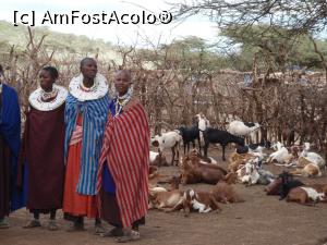 P10 [JAN-2013] femei si capre in satul de masai