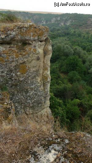 [P67] Parcul natural naţional Rusenski Lom - belvedere de la Ivanovo » foto by Dragoș_MD
 - 
<span class="allrVoted glyphicon glyphicon-heart hidden" id="av351539"></span>
<a class="m-l-10 hidden" id="sv351539" onclick="voting_Foto_DelVot(,351539,3525)" role="button">șterge vot <span class="glyphicon glyphicon-remove"></span></a>
<a id="v9351539" class=" c-red"  onclick="voting_Foto_SetVot(351539)" role="button"><span class="glyphicon glyphicon-heart-empty"></span> <b>LIKE</b> = Votează poza</a> <img class="hidden"  id="f351539W9" src="/imagini/loader.gif" border="0" /><span class="AjErrMes hidden" id="e351539ErM"></span>