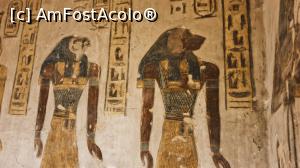 [P32] Mormântul Ramses III (KV11) » foto by k-lator
 - 
<span class="allrVoted glyphicon glyphicon-heart hidden" id="av1227468"></span>
<a class="m-l-10 hidden" id="sv1227468" onclick="voting_Foto_DelVot(,1227468,3529)" role="button">șterge vot <span class="glyphicon glyphicon-remove"></span></a>
<a id="v91227468" class=" c-red"  onclick="voting_Foto_SetVot(1227468)" role="button"><span class="glyphicon glyphicon-heart-empty"></span> <b>LIKE</b> = Votează poza</a> <img class="hidden"  id="f1227468W9" src="/imagini/loader.gif" border="0" /><span class="AjErrMes hidden" id="e1227468ErM"></span>