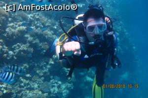 [P02] Diving in Red Sea » foto by raducondurache
 - 
<span class="allrVoted glyphicon glyphicon-heart hidden" id="av998474"></span>
<a class="m-l-10 hidden" id="sv998474" onclick="voting_Foto_DelVot(,998474,3529)" role="button">șterge vot <span class="glyphicon glyphicon-remove"></span></a>
<a id="v9998474" class=" c-red"  onclick="voting_Foto_SetVot(998474)" role="button"><span class="glyphicon glyphicon-heart-empty"></span> <b>LIKE</b> = Votează poza</a> <img class="hidden"  id="f998474W9" src="/imagini/loader.gif" border="0" /><span class="AjErrMes hidden" id="e998474ErM"></span>