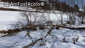 [P06] Copaci (arini, sălcii) doborâți de castori pe pârâul Drumul Carelor (depresiunea cașin, aval de Băile Fântâna Sărată)  » foto by Lucien
 - 
<span class="allrVoted glyphicon glyphicon-heart hidden" id="av807576"></span>
<a class="m-l-10 hidden" id="sv807576" onclick="voting_Foto_DelVot(,807576,3541)" role="button">șterge vot <span class="glyphicon glyphicon-remove"></span></a>
<a id="v9807576" class=" c-red"  onclick="voting_Foto_SetVot(807576)" role="button"><span class="glyphicon glyphicon-heart-empty"></span> <b>LIKE</b> = Votează poza</a> <img class="hidden"  id="f807576W9" src="/imagini/loader.gif" border="0" /><span class="AjErrMes hidden" id="e807576ErM"></span>