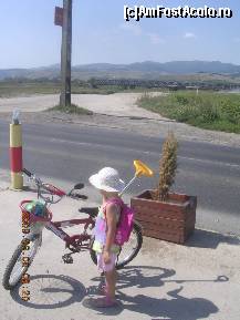 [P06] În planul II se vede podul de cale ferată peste râul Mureş la Alba Iulia. Fotografia nu mai este din tren. » foto by abbilbal*
 - 
<span class="allrVoted glyphicon glyphicon-heart hidden" id="av96293"></span>
<a class="m-l-10 hidden" id="sv96293" onclick="voting_Foto_DelVot(,96293,3541)" role="button">șterge vot <span class="glyphicon glyphicon-remove"></span></a>
<a id="v996293" class=" c-red"  onclick="voting_Foto_SetVot(96293)" role="button"><span class="glyphicon glyphicon-heart-empty"></span> <b>LIKE</b> = Votează poza</a> <img class="hidden"  id="f96293W9" src="/imagini/loader.gif" border="0" /><span class="AjErrMes hidden" id="e96293ErM"></span>