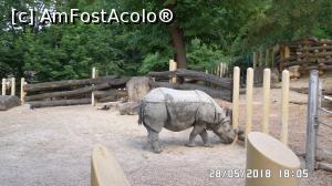 [P10] Grădina Zoo de la Schonbrunn » foto by ungureanica
 - 
<span class="allrVoted glyphicon glyphicon-heart hidden" id="av977790"></span>
<a class="m-l-10 hidden" id="sv977790" onclick="voting_Foto_DelVot(,977790,3569)" role="button">șterge vot <span class="glyphicon glyphicon-remove"></span></a>
<a id="v9977790" class=" c-red"  onclick="voting_Foto_SetVot(977790)" role="button"><span class="glyphicon glyphicon-heart-empty"></span> <b>LIKE</b> = Votează poza</a> <img class="hidden"  id="f977790W9" src="/imagini/loader.gif" border="0" /><span class="AjErrMes hidden" id="e977790ErM"></span>