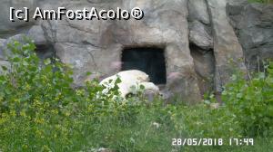 [P08] Grădina Zoo de la Schonbrunn » foto by ungureanica
 - 
<span class="allrVoted glyphicon glyphicon-heart hidden" id="av977785"></span>
<a class="m-l-10 hidden" id="sv977785" onclick="voting_Foto_DelVot(,977785,3569)" role="button">șterge vot <span class="glyphicon glyphicon-remove"></span></a>
<a id="v9977785" class=" c-red"  onclick="voting_Foto_SetVot(977785)" role="button"><span class="glyphicon glyphicon-heart-empty"></span> <b>LIKE</b> = Votează poza</a> <img class="hidden"  id="f977785W9" src="/imagini/loader.gif" border="0" /><span class="AjErrMes hidden" id="e977785ErM"></span>