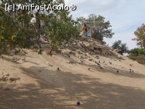 [P32] Cappadocia - Valea Porumbeilor.  » foto by iulianic
 - 
<span class="allrVoted glyphicon glyphicon-heart hidden" id="av1125088"></span>
<a class="m-l-10 hidden" id="sv1125088" onclick="voting_Foto_DelVot(,1125088,3573)" role="button">șterge vot <span class="glyphicon glyphicon-remove"></span></a>
<a id="v91125088" class=" c-red"  onclick="voting_Foto_SetVot(1125088)" role="button"><span class="glyphicon glyphicon-heart-empty"></span> <b>LIKE</b> = Votează poza</a> <img class="hidden"  id="f1125088W9" src="/imagini/loader.gif" border="0" /><span class="AjErrMes hidden" id="e1125088ErM"></span>