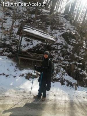 [P20] Cheile Bistriței, V&acirc;lcea » foto by Mioritik
 - 
<span class="allrVoted glyphicon glyphicon-heart hidden" id="av1288981"></span>
<a class="m-l-10 hidden" id="sv1288981" onclick="voting_Foto_DelVot(,1288981,3601)" role="button">șterge vot <span class="glyphicon glyphicon-remove"></span></a>
<a id="v91288981" class=" c-red"  onclick="voting_Foto_SetVot(1288981)" role="button"><span class="glyphicon glyphicon-heart-empty"></span> <b>LIKE</b> = Votează poza</a> <img class="hidden"  id="f1288981W9" src="/imagini/loader.gif" border="0" /><span class="AjErrMes hidden" id="e1288981ErM"></span>