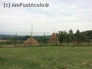 [P38] Forest Retreat&Spa-'Trecui dealu la Maciuca... ' » foto by Floria
 - 
<span class="allrVoted glyphicon glyphicon-heart hidden" id="av801944"></span>
<a class="m-l-10 hidden" id="sv801944" onclick="voting_Foto_DelVot(,801944,3601)" role="button">șterge vot <span class="glyphicon glyphicon-remove"></span></a>
<a id="v9801944" class=" c-red"  onclick="voting_Foto_SetVot(801944)" role="button"><span class="glyphicon glyphicon-heart-empty"></span> <b>LIKE</b> = Votează poza</a> <img class="hidden"  id="f801944W9" src="/imagini/loader.gif" border="0" /><span class="AjErrMes hidden" id="e801944ErM"></span>