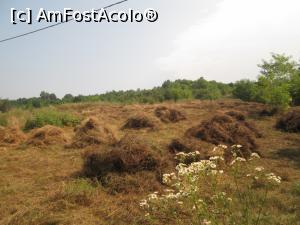 [P51] Forest Retreat&Spa-E vremea de cosit pe dealurile Valcei!  » foto by Floria
 - 
<span class="allrVoted glyphicon glyphicon-heart hidden" id="av801957"></span>
<a class="m-l-10 hidden" id="sv801957" onclick="voting_Foto_DelVot(,801957,3601)" role="button">șterge vot <span class="glyphicon glyphicon-remove"></span></a>
<a id="v9801957" class=" c-red"  onclick="voting_Foto_SetVot(801957)" role="button"><span class="glyphicon glyphicon-heart-empty"></span> <b>LIKE</b> = Votează poza</a> <img class="hidden"  id="f801957W9" src="/imagini/loader.gif" border="0" /><span class="AjErrMes hidden" id="e801957ErM"></span>