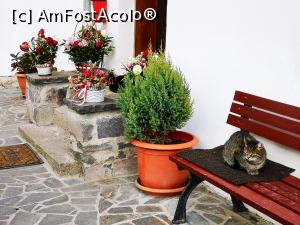 [P78] M&acirc;năstirea Dintr-un Lemn » foto by crismis
 - 
<span class="allrVoted glyphicon glyphicon-heart hidden" id="av1277863"></span>
<a class="m-l-10 hidden" id="sv1277863" onclick="voting_Foto_DelVot(,1277863,3601)" role="button">șterge vot <span class="glyphicon glyphicon-remove"></span></a>
<a id="v91277863" class=" c-red"  onclick="voting_Foto_SetVot(1277863)" role="button"><span class="glyphicon glyphicon-heart-empty"></span> <b>LIKE</b> = Votează poza</a> <img class="hidden"  id="f1277863W9" src="/imagini/loader.gif" border="0" /><span class="AjErrMes hidden" id="e1277863ErM"></span>