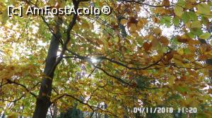 [P14] Parcul Zăvoi, Râmnicu Vâlcea » foto by ungureanica
 - 
<span class="allrVoted glyphicon glyphicon-heart hidden" id="av1030689"></span>
<a class="m-l-10 hidden" id="sv1030689" onclick="voting_Foto_DelVot(,1030689,3601)" role="button">șterge vot <span class="glyphicon glyphicon-remove"></span></a>
<a id="v91030689" class=" c-red"  onclick="voting_Foto_SetVot(1030689)" role="button"><span class="glyphicon glyphicon-heart-empty"></span> <b>LIKE</b> = Votează poza</a> <img class="hidden"  id="f1030689W9" src="/imagini/loader.gif" border="0" /><span class="AjErrMes hidden" id="e1030689ErM"></span>