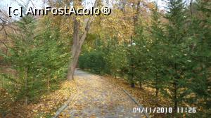 [P21] Parcul Zăvoi, Râmnicu Vâlcea. Brazii împodobiți » foto by ungureanica
 - 
<span class="allrVoted glyphicon glyphicon-heart hidden" id="av1030696"></span>
<a class="m-l-10 hidden" id="sv1030696" onclick="voting_Foto_DelVot(,1030696,3601)" role="button">șterge vot <span class="glyphicon glyphicon-remove"></span></a>
<a id="v91030696" class=" c-red"  onclick="voting_Foto_SetVot(1030696)" role="button"><span class="glyphicon glyphicon-heart-empty"></span> <b>LIKE</b> = Votează poza</a> <img class="hidden"  id="f1030696W9" src="/imagini/loader.gif" border="0" /><span class="AjErrMes hidden" id="e1030696ErM"></span>