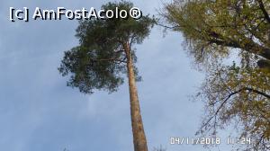 [P23] Parcul Zăvoi, Râmnicu Vâlcea » foto by ungureanica
 - 
<span class="allrVoted glyphicon glyphicon-heart hidden" id="av1030698"></span>
<a class="m-l-10 hidden" id="sv1030698" onclick="voting_Foto_DelVot(,1030698,3601)" role="button">șterge vot <span class="glyphicon glyphicon-remove"></span></a>
<a id="v91030698" class=" c-red"  onclick="voting_Foto_SetVot(1030698)" role="button"><span class="glyphicon glyphicon-heart-empty"></span> <b>LIKE</b> = Votează poza</a> <img class="hidden"  id="f1030698W9" src="/imagini/loader.gif" border="0" /><span class="AjErrMes hidden" id="e1030698ErM"></span>