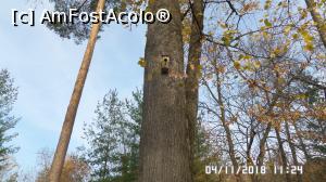 [P24] Parcul Zăvoi, Râmnicu Vâlcea » foto by ungureanica
 - 
<span class="allrVoted glyphicon glyphicon-heart hidden" id="av1030699"></span>
<a class="m-l-10 hidden" id="sv1030699" onclick="voting_Foto_DelVot(,1030699,3601)" role="button">șterge vot <span class="glyphicon glyphicon-remove"></span></a>
<a id="v91030699" class=" c-red"  onclick="voting_Foto_SetVot(1030699)" role="button"><span class="glyphicon glyphicon-heart-empty"></span> <b>LIKE</b> = Votează poza</a> <img class="hidden"  id="f1030699W9" src="/imagini/loader.gif" border="0" /><span class="AjErrMes hidden" id="e1030699ErM"></span>