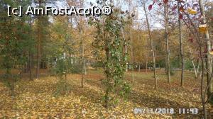 [P29] Parcul Zăvoi, Râmnicu Vâlcea » foto by ungureanica
 - 
<span class="allrVoted glyphicon glyphicon-heart hidden" id="av1030704"></span>
<a class="m-l-10 hidden" id="sv1030704" onclick="voting_Foto_DelVot(,1030704,3601)" role="button">șterge vot <span class="glyphicon glyphicon-remove"></span></a>
<a id="v91030704" class=" c-red"  onclick="voting_Foto_SetVot(1030704)" role="button"><span class="glyphicon glyphicon-heart-empty"></span> <b>LIKE</b> = Votează poza</a> <img class="hidden"  id="f1030704W9" src="/imagini/loader.gif" border="0" /><span class="AjErrMes hidden" id="e1030704ErM"></span>
