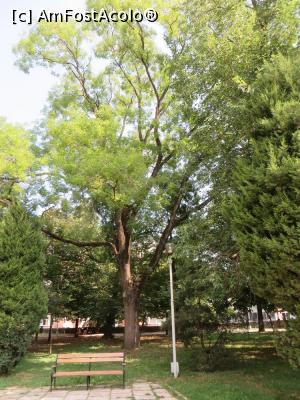 [P03] Parcul Mircea cel Bătrân.  » foto by tata123 🔱
 - 
<span class="allrVoted glyphicon glyphicon-heart hidden" id="av799183"></span>
<a class="m-l-10 hidden" id="sv799183" onclick="voting_Foto_DelVot(,799183,3601)" role="button">șterge vot <span class="glyphicon glyphicon-remove"></span></a>
<a id="v9799183" class=" c-red"  onclick="voting_Foto_SetVot(799183)" role="button"><span class="glyphicon glyphicon-heart-empty"></span> <b>LIKE</b> = Votează poza</a> <img class="hidden"  id="f799183W9" src="/imagini/loader.gif" border="0" /><span class="AjErrMes hidden" id="e799183ErM"></span>