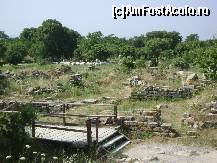 [P18] Troia - printre ruine, drumul care duce spre unul din locurile de belvedere » foto by biancuta
 - 
<span class="allrVoted glyphicon glyphicon-heart hidden" id="av113130"></span>
<a class="m-l-10 hidden" id="sv113130" onclick="voting_Foto_DelVot(,113130,3612)" role="button">șterge vot <span class="glyphicon glyphicon-remove"></span></a>
<a id="v9113130" class=" c-red"  onclick="voting_Foto_SetVot(113130)" role="button"><span class="glyphicon glyphicon-heart-empty"></span> <b>LIKE</b> = Votează poza</a> <img class="hidden"  id="f113130W9" src="/imagini/loader.gif" border="0" /><span class="AjErrMes hidden" id="e113130ErM"></span>