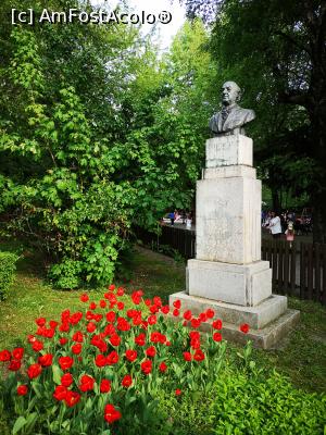 [P49] Primăvară în Brașov; parcul N. Titulescu » foto by crismis
 - 
<span class="allrVoted glyphicon glyphicon-heart hidden" id="av1298771"></span>
<a class="m-l-10 hidden" id="sv1298771" onclick="voting_Foto_DelVot(,1298771,3615)" role="button">șterge vot <span class="glyphicon glyphicon-remove"></span></a>
<a id="v91298771" class=" c-red"  onclick="voting_Foto_SetVot(1298771)" role="button"><span class="glyphicon glyphicon-heart-empty"></span> <b>LIKE</b> = Votează poza</a> <img class="hidden"  id="f1298771W9" src="/imagini/loader.gif" border="0" /><span class="AjErrMes hidden" id="e1298771ErM"></span>