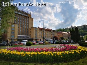 [P52] Primăvară în Brașov; parcul N. Titulescu (și Aro Pallace) » foto by crismis
 - 
<span class="allrVoted glyphicon glyphicon-heart hidden" id="av1298774"></span>
<a class="m-l-10 hidden" id="sv1298774" onclick="voting_Foto_DelVot(,1298774,3615)" role="button">șterge vot <span class="glyphicon glyphicon-remove"></span></a>
<a id="v91298774" class=" c-red"  onclick="voting_Foto_SetVot(1298774)" role="button"><span class="glyphicon glyphicon-heart-empty"></span> <b>LIKE</b> = Votează poza</a> <img class="hidden"  id="f1298774W9" src="/imagini/loader.gif" border="0" /><span class="AjErrMes hidden" id="e1298774ErM"></span>