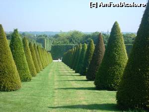 [P45] Versailles.  » foto by melena
 - 
<span class="allrVoted glyphicon glyphicon-heart hidden" id="av620544"></span>
<a class="m-l-10 hidden" id="sv620544" onclick="voting_Foto_DelVot(,620544,3618)" role="button">șterge vot <span class="glyphicon glyphicon-remove"></span></a>
<a id="v9620544" class=" c-red"  onclick="voting_Foto_SetVot(620544)" role="button"><span class="glyphicon glyphicon-heart-empty"></span> <b>LIKE</b> = Votează poza</a> <img class="hidden"  id="f620544W9" src="/imagini/loader.gif" border="0" /><span class="AjErrMes hidden" id="e620544ErM"></span>