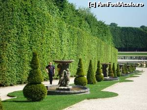 [P55] Versailles.  » foto by melena
 - 
<span class="allrVoted glyphicon glyphicon-heart hidden" id="av620554"></span>
<a class="m-l-10 hidden" id="sv620554" onclick="voting_Foto_DelVot(,620554,3618)" role="button">șterge vot <span class="glyphicon glyphicon-remove"></span></a>
<a id="v9620554" class=" c-red"  onclick="voting_Foto_SetVot(620554)" role="button"><span class="glyphicon glyphicon-heart-empty"></span> <b>LIKE</b> = Votează poza</a> <img class="hidden"  id="f620554W9" src="/imagini/loader.gif" border="0" /><span class="AjErrMes hidden" id="e620554ErM"></span>