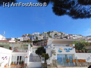 [P34] Rosas » foto by Yolanda
 - 
<span class="allrVoted glyphicon glyphicon-heart hidden" id="av1516001"></span>
<a class="m-l-10 hidden" id="sv1516001" onclick="voting_Foto_DelVot(,1516001,3651)" role="button">șterge vot <span class="glyphicon glyphicon-remove"></span></a>
<a id="v91516001" class=" c-red"  onclick="voting_Foto_SetVot(1516001)" role="button"><span class="glyphicon glyphicon-heart-empty"></span> <b>LIKE</b> = Votează poza</a> <img class="hidden"  id="f1516001W9" src="/imagini/loader.gif" border="0" /><span class="AjErrMes hidden" id="e1516001ErM"></span>