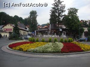 [P02] Floricelele multicolore din acest rond aflat pe bulevardul Carol I ne îndemnau parcă să le facem și lor multe fotografii!  » foto by Floryn81
 - 
<span class="allrVoted glyphicon glyphicon-heart hidden" id="av798305"></span>
<a class="m-l-10 hidden" id="sv798305" onclick="voting_Foto_DelVot(,798305,3677)" role="button">șterge vot <span class="glyphicon glyphicon-remove"></span></a>
<a id="v9798305" class=" c-red"  onclick="voting_Foto_SetVot(798305)" role="button"><span class="glyphicon glyphicon-heart-empty"></span> <b>LIKE</b> = Votează poza</a> <img class="hidden"  id="f798305W9" src="/imagini/loader.gif" border="0" /><span class="AjErrMes hidden" id="e798305ErM"></span>