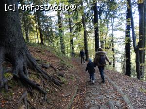 [P13] Un weekend la Sinaia. Aici am intrat pe Poteca Regala in drumul nostru catre izvor. Daca veti tine aceasta poteca, veti ajunge dupa ~ o ora in Sinaia undeva pe langa Castelul Peles.  » foto by vega06
 - 
<span class="allrVoted glyphicon glyphicon-heart hidden" id="av724671"></span>
<a class="m-l-10 hidden" id="sv724671" onclick="voting_Foto_DelVot(,724671,3677)" role="button">șterge vot <span class="glyphicon glyphicon-remove"></span></a>
<a id="v9724671" class=" c-red"  onclick="voting_Foto_SetVot(724671)" role="button"><span class="glyphicon glyphicon-heart-empty"></span> <b>LIKE</b> = Votează poza</a> <img class="hidden"  id="f724671W9" src="/imagini/loader.gif" border="0" /><span class="AjErrMes hidden" id="e724671ErM"></span>