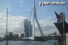 [P03] Podul Erasmus sau Lebada, din Rotterdam » foto by ileanaxperta*
 - 
<span class="allrVoted glyphicon glyphicon-heart hidden" id="av171738"></span>
<a class="m-l-10 hidden" id="sv171738" onclick="voting_Foto_DelVot(,171738,3679)" role="button">șterge vot <span class="glyphicon glyphicon-remove"></span></a>
<a id="v9171738" class=" c-red"  onclick="voting_Foto_SetVot(171738)" role="button"><span class="glyphicon glyphicon-heart-empty"></span> <b>LIKE</b> = Votează poza</a> <img class="hidden"  id="f171738W9" src="/imagini/loader.gif" border="0" /><span class="AjErrMes hidden" id="e171738ErM"></span>