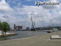 [P03] Pod suspendat in Rotterdam » foto by Michi
 - 
<span class="allrVoted glyphicon glyphicon-heart hidden" id="av171797"></span>
<a class="m-l-10 hidden" id="sv171797" onclick="voting_Foto_DelVot(,171797,3679)" role="button">șterge vot <span class="glyphicon glyphicon-remove"></span></a>
<a id="v9171797" class=" c-red"  onclick="voting_Foto_SetVot(171797)" role="button"><span class="glyphicon glyphicon-heart-empty"></span> <b>LIKE</b> = Votează poza</a> <img class="hidden"  id="f171797W9" src="/imagini/loader.gif" border="0" /><span class="AjErrMes hidden" id="e171797ErM"></span>