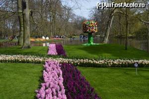 [P11] Keukenhof - » foto by makuy*
 - 
<span class="allrVoted glyphicon glyphicon-heart hidden" id="av614965"></span>
<a class="m-l-10 hidden" id="sv614965" onclick="voting_Foto_DelVot(,614965,3710)" role="button">șterge vot <span class="glyphicon glyphicon-remove"></span></a>
<a id="v9614965" class=" c-red"  onclick="voting_Foto_SetVot(614965)" role="button"><span class="glyphicon glyphicon-heart-empty"></span> <b>LIKE</b> = Votează poza</a> <img class="hidden"  id="f614965W9" src="/imagini/loader.gif" border="0" /><span class="AjErrMes hidden" id="e614965ErM"></span>