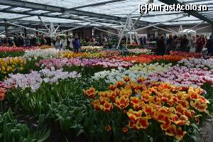 [P03] Keukenhof - sera Prințului Willem-Alexander » foto by makuy*
 - 
<span class="allrVoted glyphicon glyphicon-heart hidden" id="av614957"></span>
<a class="m-l-10 hidden" id="sv614957" onclick="voting_Foto_DelVot(,614957,3710)" role="button">șterge vot <span class="glyphicon glyphicon-remove"></span></a>
<a id="v9614957" class=" c-red"  onclick="voting_Foto_SetVot(614957)" role="button"><span class="glyphicon glyphicon-heart-empty"></span> <b>LIKE</b> = Votează poza</a> <img class="hidden"  id="f614957W9" src="/imagini/loader.gif" border="0" /><span class="AjErrMes hidden" id="e614957ErM"></span>