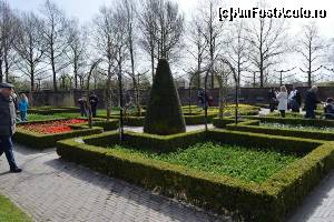 [P07] Keukenhof - grădina japoneză » foto by makuy*
 - 
<span class="allrVoted glyphicon glyphicon-heart hidden" id="av614961"></span>
<a class="m-l-10 hidden" id="sv614961" onclick="voting_Foto_DelVot(,614961,3710)" role="button">șterge vot <span class="glyphicon glyphicon-remove"></span></a>
<a id="v9614961" class=" c-red"  onclick="voting_Foto_SetVot(614961)" role="button"><span class="glyphicon glyphicon-heart-empty"></span> <b>LIKE</b> = Votează poza</a> <img class="hidden"  id="f614961W9" src="/imagini/loader.gif" border="0" /><span class="AjErrMes hidden" id="e614961ErM"></span>