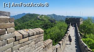 [P28] Daca timpul si energia iti permit, poti adauga mai multe sectiuni traseului tau.
Senzatia de a merge pe Marele Zid este minunata! La propriu! Expresia atribuita lui Mao Zedong ,,Cel ce nu a urcat Marele Zid nu este un adevarat erou” pare a fi cat se poate de adevarata. » foto by geani anto
 - 
<span class="allrVoted glyphicon glyphicon-heart hidden" id="av1488460"></span>
<a class="m-l-10 hidden" id="sv1488460" onclick="voting_Foto_DelVot(,1488460,3730)" role="button">șterge vot <span class="glyphicon glyphicon-remove"></span></a>
<a id="v91488460" class=" c-red"  onclick="voting_Foto_SetVot(1488460)" role="button"><span class="glyphicon glyphicon-heart-empty"></span> <b>LIKE</b> = Votează poza</a> <img class="hidden"  id="f1488460W9" src="/imagini/loader.gif" border="0" /><span class="AjErrMes hidden" id="e1488460ErM"></span>