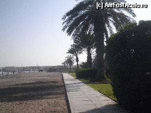 [P13] alei care duc la ponton » foto by grecudoina
 - 
<span class="allrVoted glyphicon glyphicon-heart hidden" id="av398958"></span>
<a class="m-l-10 hidden" id="sv398958" onclick="voting_Foto_DelVot(,398958,3739)" role="button">șterge vot <span class="glyphicon glyphicon-remove"></span></a>
<a id="v9398958" class=" c-red"  onclick="voting_Foto_SetVot(398958)" role="button"><span class="glyphicon glyphicon-heart-empty"></span> <b>LIKE</b> = Votează poza</a> <img class="hidden"  id="f398958W9" src="/imagini/loader.gif" border="0" /><span class="AjErrMes hidden" id="e398958ErM"></span>