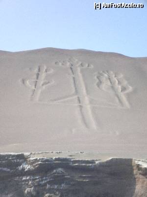 [P23] inca o imagine cu el, mult mai aproape, in varful celor 3 brate, parca ai imaginea unor cactusi » foto by grecudoina
 - 
<span class="allrVoted glyphicon glyphicon-heart hidden" id="av398968"></span>
<a class="m-l-10 hidden" id="sv398968" onclick="voting_Foto_DelVot(,398968,3739)" role="button">șterge vot <span class="glyphicon glyphicon-remove"></span></a>
<a id="v9398968" class=" c-red"  onclick="voting_Foto_SetVot(398968)" role="button"><span class="glyphicon glyphicon-heart-empty"></span> <b>LIKE</b> = Votează poza</a> <img class="hidden"  id="f398968W9" src="/imagini/loader.gif" border="0" /><span class="AjErrMes hidden" id="e398968ErM"></span>