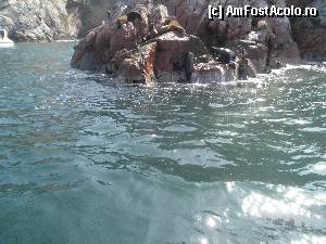 [P42] dupa o baie buna, stam la soare » foto by grecudoina
 - 
<span class="allrVoted glyphicon glyphicon-heart hidden" id="av398987"></span>
<a class="m-l-10 hidden" id="sv398987" onclick="voting_Foto_DelVot(,398987,3739)" role="button">șterge vot <span class="glyphicon glyphicon-remove"></span></a>
<a id="v9398987" class=" c-red"  onclick="voting_Foto_SetVot(398987)" role="button"><span class="glyphicon glyphicon-heart-empty"></span> <b>LIKE</b> = Votează poza</a> <img class="hidden"  id="f398987W9" src="/imagini/loader.gif" border="0" /><span class="AjErrMes hidden" id="e398987ErM"></span>