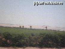 [P02] culturi in desert, multumita raurilor subterane care vin din Anzii Vestici, si nu mai ajung in ocean, din locul in care se strang peruanii au facut sisteme de irigatii » foto by grecudoina
 - 
<span class="allrVoted glyphicon glyphicon-heart hidden" id="av399252"></span>
<a class="m-l-10 hidden" id="sv399252" onclick="voting_Foto_DelVot(,399252,3739)" role="button">șterge vot <span class="glyphicon glyphicon-remove"></span></a>
<a id="v9399252" class=" c-red"  onclick="voting_Foto_SetVot(399252)" role="button"><span class="glyphicon glyphicon-heart-empty"></span> <b>LIKE</b> = Votează poza</a> <img class="hidden"  id="f399252W9" src="/imagini/loader.gif" border="0" /><span class="AjErrMes hidden" id="e399252ErM"></span>