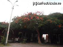 [P35] la intrarea in resort » foto by grecudoina
 - 
<span class="allrVoted glyphicon glyphicon-heart hidden" id="av399285"></span>
<a class="m-l-10 hidden" id="sv399285" onclick="voting_Foto_DelVot(,399285,3739)" role="button">șterge vot <span class="glyphicon glyphicon-remove"></span></a>
<a id="v9399285" class=" c-red"  onclick="voting_Foto_SetVot(399285)" role="button"><span class="glyphicon glyphicon-heart-empty"></span> <b>LIKE</b> = Votează poza</a> <img class="hidden"  id="f399285W9" src="/imagini/loader.gif" border="0" /><span class="AjErrMes hidden" id="e399285ErM"></span>