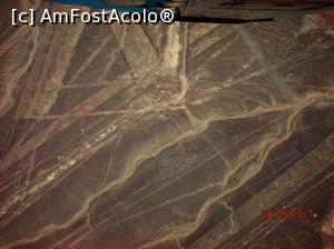 [P17] Pestele - al doilea geoglif bonus » foto by Pușcașu Marin
 - 
<span class="allrVoted glyphicon glyphicon-heart hidden" id="av916950"></span>
<a class="m-l-10 hidden" id="sv916950" onclick="voting_Foto_DelVot(,916950,3739)" role="button">șterge vot <span class="glyphicon glyphicon-remove"></span></a>
<a id="v9916950" class=" c-red"  onclick="voting_Foto_SetVot(916950)" role="button"><span class="glyphicon glyphicon-heart-empty"></span> <b>LIKE</b> = Votează poza</a> <img class="hidden"  id="f916950W9" src="/imagini/loader.gif" border="0" /><span class="AjErrMes hidden" id="e916950ErM"></span>