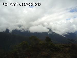 [P05] asa arata Cloud Forest » foto by buterfly*
 - 
<span class="allrVoted glyphicon glyphicon-heart hidden" id="av828775"></span>
<a class="m-l-10 hidden" id="sv828775" onclick="voting_Foto_DelVot(,828775,3739)" role="button">șterge vot <span class="glyphicon glyphicon-remove"></span></a>
<a id="v9828775" class=" c-red"  onclick="voting_Foto_SetVot(828775)" role="button"><span class="glyphicon glyphicon-heart-empty"></span> <b>LIKE</b> = Votează poza</a> <img class="hidden"  id="f828775W9" src="/imagini/loader.gif" border="0" /><span class="AjErrMes hidden" id="e828775ErM"></span>
