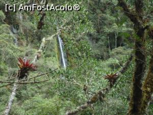 [P06] printre copaci si plante exotice se intrezareste o cascada incredibila » foto by buterfly*
 - 
<span class="allrVoted glyphicon glyphicon-heart hidden" id="av828776"></span>
<a class="m-l-10 hidden" id="sv828776" onclick="voting_Foto_DelVot(,828776,3739)" role="button">șterge vot <span class="glyphicon glyphicon-remove"></span></a>
<a id="v9828776" class=" c-red"  onclick="voting_Foto_SetVot(828776)" role="button"><span class="glyphicon glyphicon-heart-empty"></span> <b>LIKE</b> = Votează poza</a> <img class="hidden"  id="f828776W9" src="/imagini/loader.gif" border="0" /><span class="AjErrMes hidden" id="e828776ErM"></span>