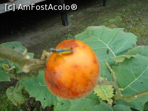 [P21] rosie salbatica in fata casutei » foto by buterfly*
 - 
<span class="allrVoted glyphicon glyphicon-heart hidden" id="av829188"></span>
<a class="m-l-10 hidden" id="sv829188" onclick="voting_Foto_DelVot(,829188,3739)" role="button">șterge vot <span class="glyphicon glyphicon-remove"></span></a>
<a id="v9829188" class=" c-red"  onclick="voting_Foto_SetVot(829188)" role="button"><span class="glyphicon glyphicon-heart-empty"></span> <b>LIKE</b> = Votează poza</a> <img class="hidden"  id="f829188W9" src="/imagini/loader.gif" border="0" /><span class="AjErrMes hidden" id="e829188ErM"></span>