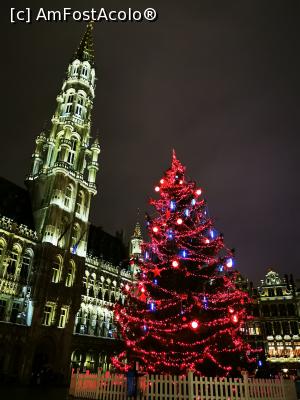 [P16] Grand Place noaptea » foto by cata2106
 - 
<span class="allrVoted glyphicon glyphicon-heart hidden" id="av1269728"></span>
<a class="m-l-10 hidden" id="sv1269728" onclick="voting_Foto_DelVot(,1269728,3768)" role="button">șterge vot <span class="glyphicon glyphicon-remove"></span></a>
<a id="v91269728" class=" c-red"  onclick="voting_Foto_SetVot(1269728)" role="button"><span class="glyphicon glyphicon-heart-empty"></span> <b>LIKE</b> = Votează poza</a> <img class="hidden"  id="f1269728W9" src="/imagini/loader.gif" border="0" /><span class="AjErrMes hidden" id="e1269728ErM"></span>