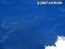 [P01] albastru electric » foto by dianabzs
 - 
<span class="allrVoted glyphicon glyphicon-heart hidden" id="av159683"></span>
<a class="m-l-10 hidden" id="sv159683" onclick="voting_Foto_DelVot(,159683,3807)" role="button">șterge vot <span class="glyphicon glyphicon-remove"></span></a>
<a id="v9159683" class=" c-red"  onclick="voting_Foto_SetVot(159683)" role="button"><span class="glyphicon glyphicon-heart-empty"></span> <b>LIKE</b> = Votează poza</a> <img class="hidden"  id="f159683W9" src="/imagini/loader.gif" border="0" /><span class="AjErrMes hidden" id="e159683ErM"></span>