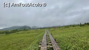 [P05] Midagahara, platou la 2000m. » foto by dop.tirbuson
 - 
<span class="allrVoted glyphicon glyphicon-heart hidden" id="av1529875"></span>
<a class="m-l-10 hidden" id="sv1529875" onclick="voting_Foto_DelVot(,1529875,3821)" role="button">șterge vot <span class="glyphicon glyphicon-remove"></span></a>
<a id="v91529875" class=" c-red"  onclick="voting_Foto_SetVot(1529875)" role="button"><span class="glyphicon glyphicon-heart-empty"></span> <b>LIKE</b> = Votează poza</a> <img class="hidden"  id="f1529875W9" src="/imagini/loader.gif" border="0" /><span class="AjErrMes hidden" id="e1529875ErM"></span>