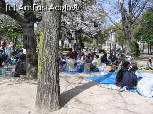 [P14] Picnic în parcul Ueno » foto by Michi
 - 
<span class="allrVoted glyphicon glyphicon-heart hidden" id="av1452571"></span>
<a class="m-l-10 hidden" id="sv1452571" onclick="voting_Foto_DelVot(,1452571,3821)" role="button">șterge vot <span class="glyphicon glyphicon-remove"></span></a>
<a id="v91452571" class=" c-red"  onclick="voting_Foto_SetVot(1452571)" role="button"><span class="glyphicon glyphicon-heart-empty"></span> <b>LIKE</b> = Votează poza</a> <img class="hidden"  id="f1452571W9" src="/imagini/loader.gif" border="0" /><span class="AjErrMes hidden" id="e1452571ErM"></span>