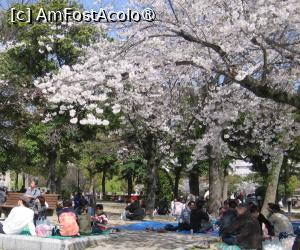 [P16] Picnic în parcul Ueno » foto by Michi
 - 
<span class="allrVoted glyphicon glyphicon-heart hidden" id="av1452573"></span>
<a class="m-l-10 hidden" id="sv1452573" onclick="voting_Foto_DelVot(,1452573,3821)" role="button">șterge vot <span class="glyphicon glyphicon-remove"></span></a>
<a id="v91452573" class=" c-red"  onclick="voting_Foto_SetVot(1452573)" role="button"><span class="glyphicon glyphicon-heart-empty"></span> <b>LIKE</b> = Votează poza</a> <img class="hidden"  id="f1452573W9" src="/imagini/loader.gif" border="0" /><span class="AjErrMes hidden" id="e1452573ErM"></span>